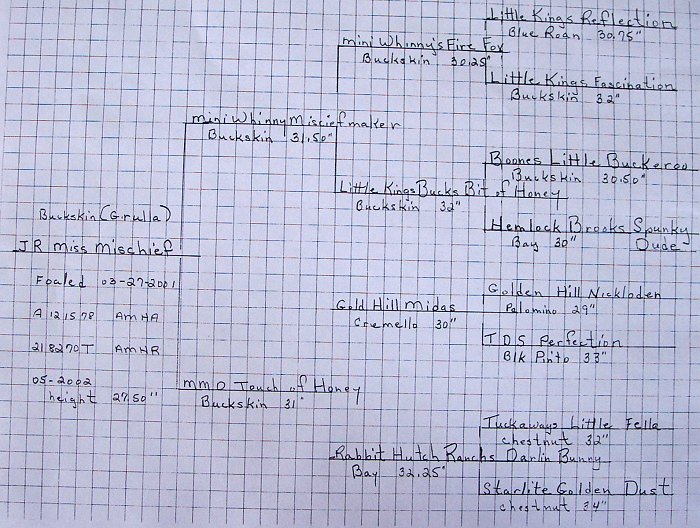 pedigree